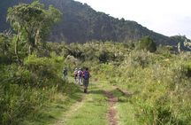 Arusha National Park Day Tour with Walking Safari & Canoeing 