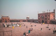New Delhi Private City Day Tour with Guide Including Pick & Drop