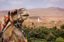 Full-Day Ouarzazate and Kasbah Ait Benhaddou Tour from Marrakesh