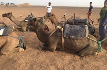 Marrakech to Zagora 2 Days Desert Tour