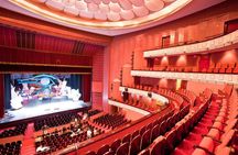 Private tour to The Opera House and tour to the old famous arts