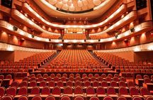 Private tour to The Opera House and tour to the old famous arts