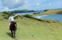 Private Beach Horseback Ride with Sandy Hoofs St. Lucia
