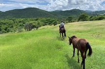 Private Advanced Horseback Beach Ride with Sandy Hoofs St. Lucia