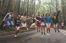 BOHOL Tour 2025 - Chocolate Hills, Tarsier and River Cruise Lunch