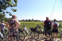 Half-Day Colors of Chiang Mai Biking Tour
