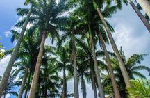 Barbados Botanical Tour