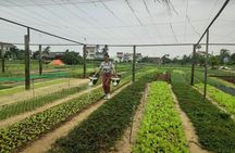 Discovering Hoi An Countryside Local style From Hoi an