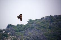 Full day hiking in Jungle of Cat Ba National park