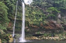 Tour to Palenque and Cascada de Misol Ha