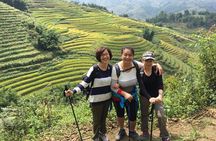 Sapa 2-Day Trekking & Homestay Overnight Tour by Bus from Hanoi 