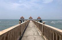 Johor Day Tour - Ostrich Farm, Beach, Waterfall, Fireflies [Car]