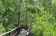 Johor Day Tour - Southernmost Tip, Eco Farm, Go Kart [Car]