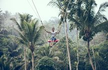 The Best Ubud Experience in a Full-Day Private Tour - Free WIFI