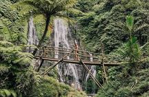 Bali Handara Gate and Wanagiri Hidden Hill with Banyumala Waterfall