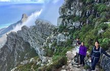 India Venster: sensational half-day route up Table Mountain 