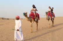 Morning Desert Safari With Refreshment At Dubai