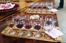 Wine Tasting Tour in Samarkand