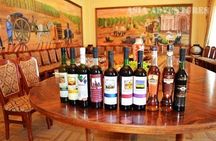 Wine Tasting Tour in Samarkand