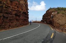 From CapeTown:TableMountain Private,Penguins&C.of Good Hope Tour 