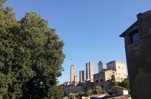 San Gimignano: Chianti wine tasting 