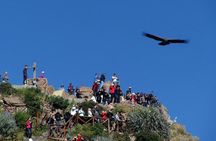 Colca Full Day Group Tour