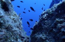 Try Scuba Diving in Lanzarote (No experience needed)