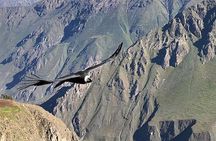Colca Trek 3 Days 
