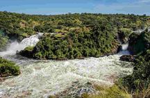 3-Day Mind Refreshing in Murchison Falls National Park