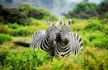 3-Day Mind Refreshing in Murchison Falls National Park