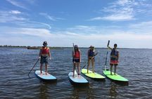 Stand Up Paddleboard Adventure on the Outer Banks 