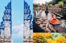 Bali Instagram Tour: The Most Popular Spots ( Private All-Inclusive )