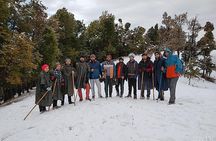 Nagtibba Trek (Dehradun to Dehradun)