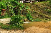 Minca - Coffee And Cocoa Tour 