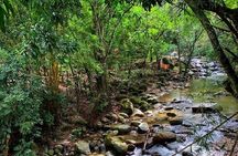 Minca - Coffee And Cocoa Tour 