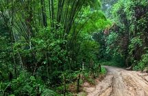Minca - Coffee And Cocoa Tour 
