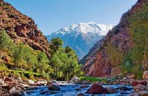 Private Day trip to Ourika valley and Setti Fatma waterfalls - Berber villages
