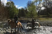 Horseback Trailride Excursion