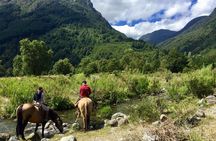 Horseback Trailride Excursion