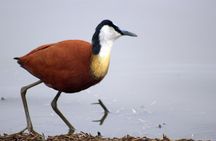 5 Day Kruger Park Budget Safari