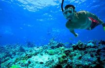 Basic Snorkel Experience In Cancun