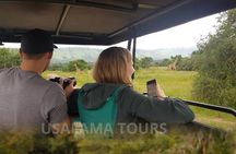 11 Days Rwanda Budgeted Safari - Gorillas & Wildlife Tours