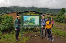 11 Days Rwanda Budgeted Safari - Gorillas & Wildlife Tours
