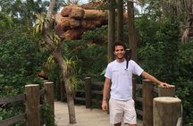 Cartagena private aviary tour