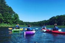 Kayak The Creek Nature Tour