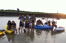 Kayak The Creek Nature Tour