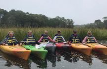 Kayak The Creek Nature Tour