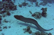 Second largest Barrier Reef Adventure