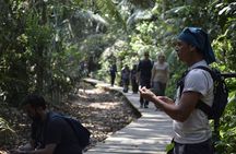 Sandoval lake and Tambopata national reserve