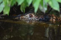 Sandoval lake and Tambopata national reserve